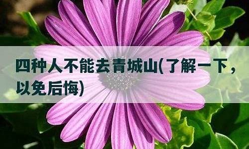 四种人不能去青城山_四种人不能去青城山街子古镇