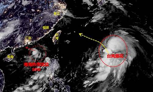 上海台风最新消息今天_上海台风最新动态