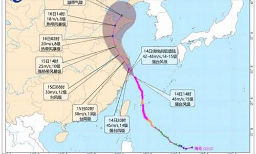 2022年台风全年预测_2021年台风预告